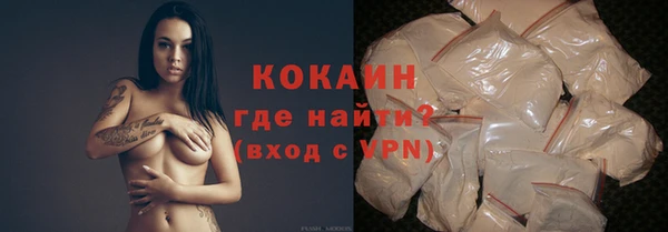 соль ск Абаза